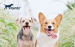 Manage pet records, family profiles, grooming and daycare schedules, appointments, and mobile routes