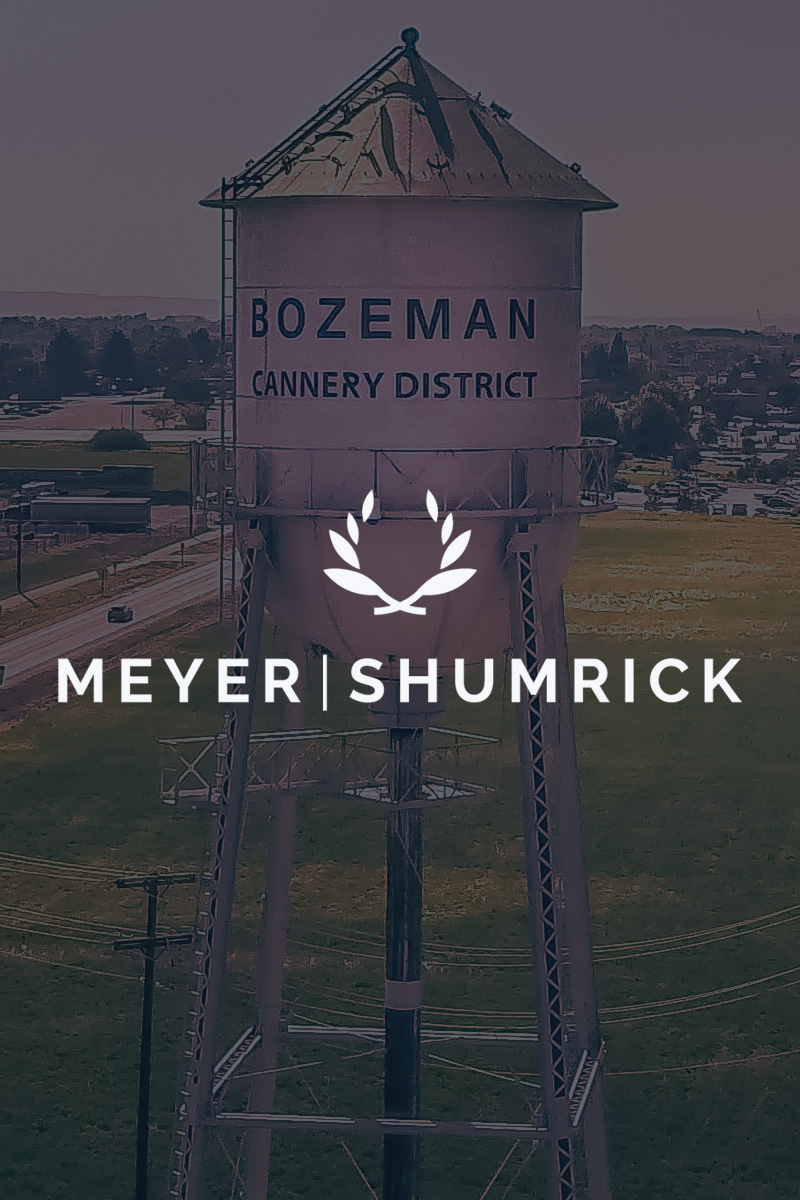Meyer Shumrick brand and website system visual for a professional law firm case study.