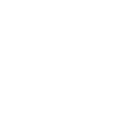 Physicians Capital Fund
